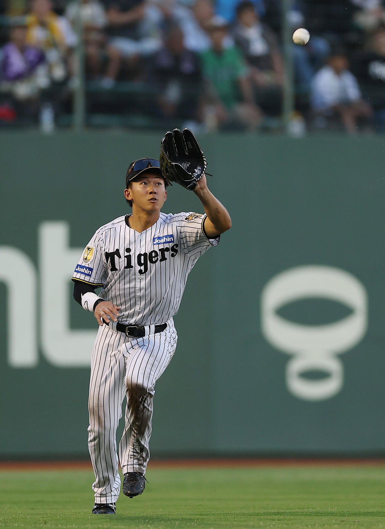 阪神対中日　3回表中日1死、大島洋平の左飛を捕球する立石正広（撮影・前田充）＝2026年5月19日