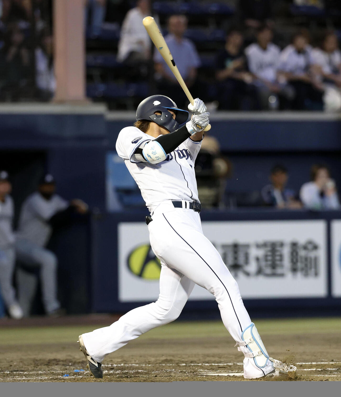 西武対ロッテ　3回裏西武1死、西川愛也はソロ本塁打を放つ（撮影・浅見桂子）