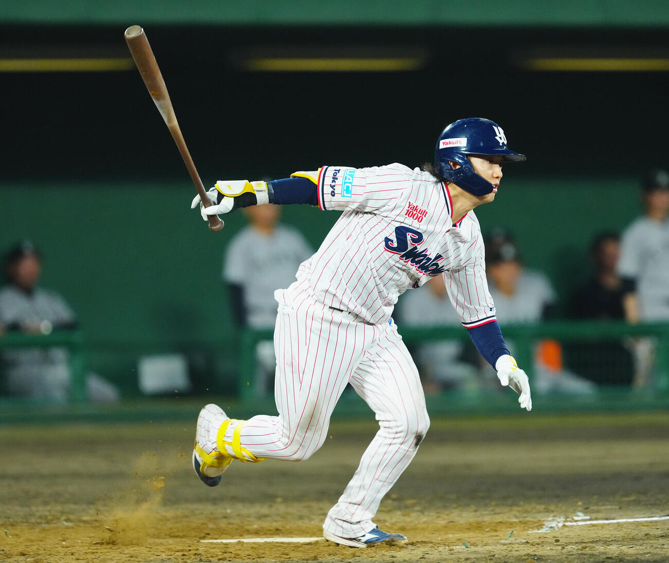 ヤクルト対巨人　3回裏ヤクルト1死二塁、一塁内野安打を放つ長岡秀樹（撮影・垰建太）