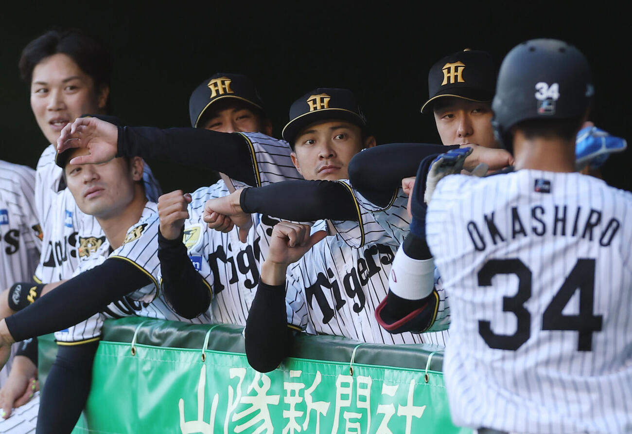阪神対中日　1回裏阪神2死二塁、佐藤輝明の適時打で生還した岡城快生を迎える阪神の選手たち（2026年5月19日撮影・前田充）