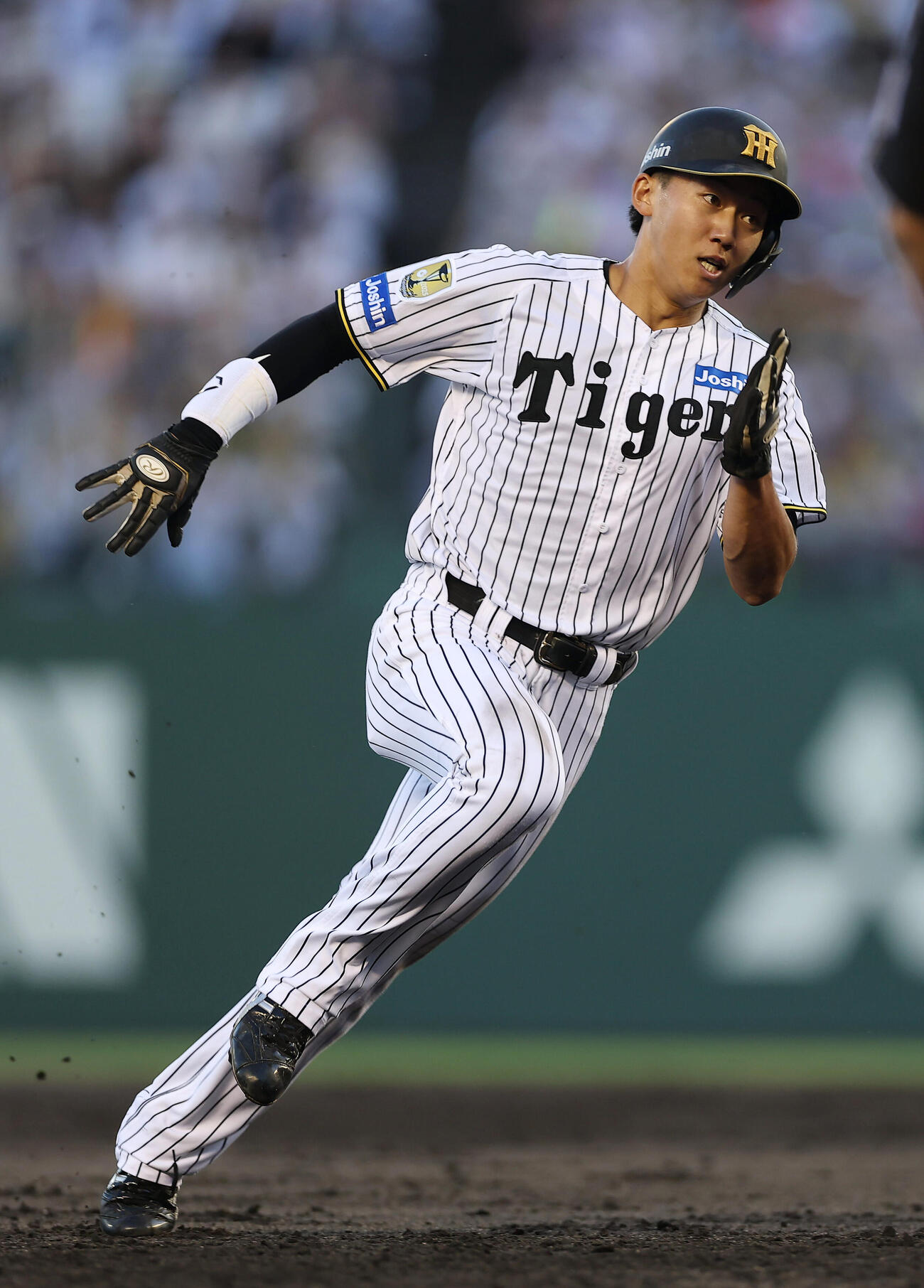 阪神対中日　2回裏阪神無死一、二塁、伏見寅威の左前打で三進する二走立石正広（撮影・前田充）＝2026年5月19日