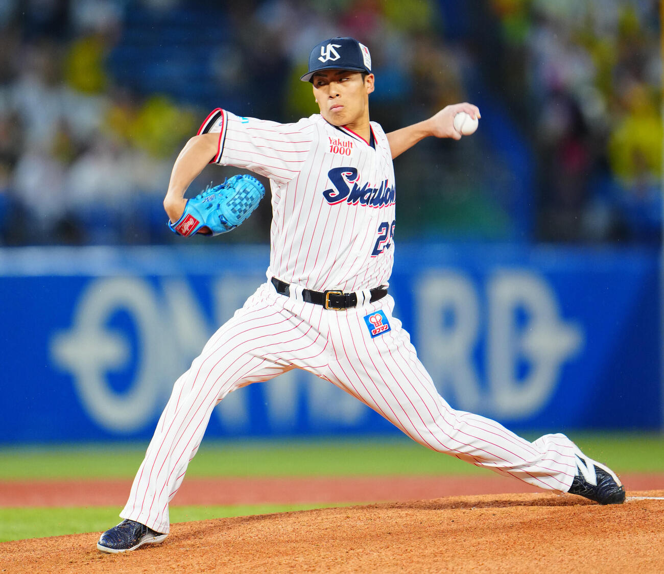 ヤクルト山野太一（2026年5月撮影）