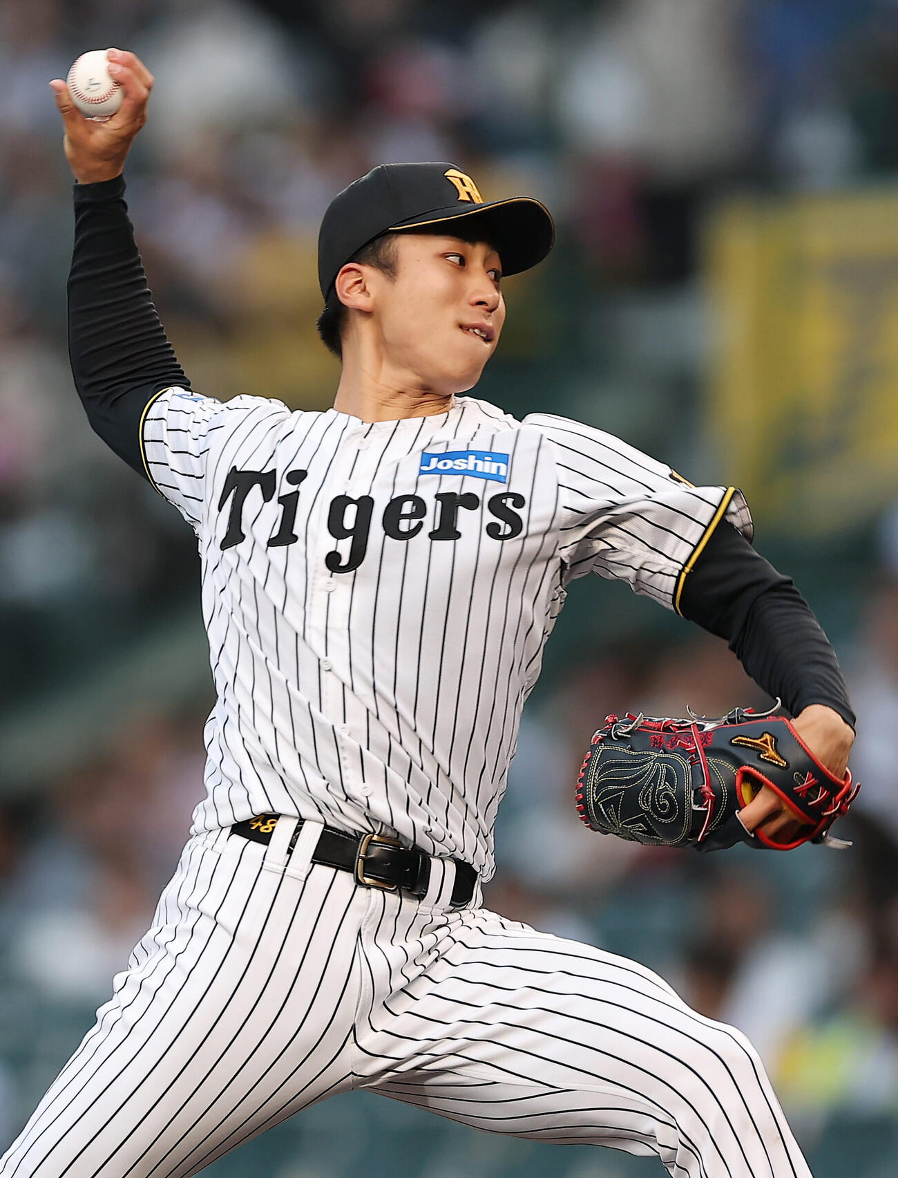 阪神対中日　力投する阪神先発の茨木秀俊（撮影・前田充）