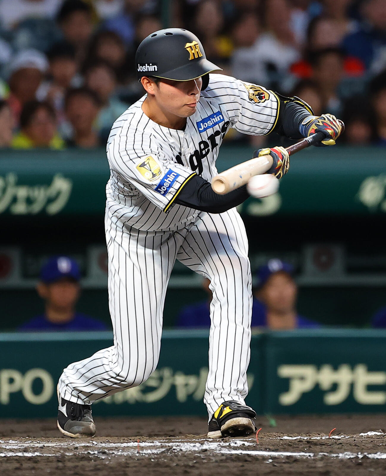 阪神対中日　3回裏阪神1死一塁、椎葉剛は送りバントを決める（上田博志）