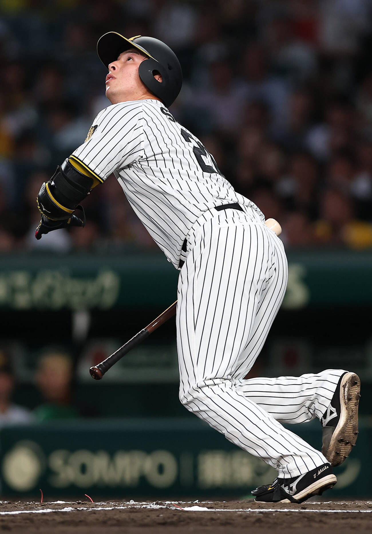 阪神対中日　3回裏阪神1死一塁、犠打を決める椎葉剛（撮影・前田充）