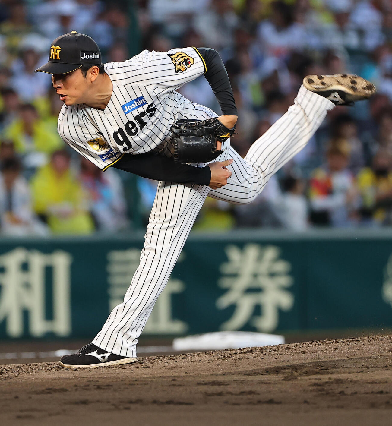 阪神対中日　阪神2番手の椎葉剛（上田博志）