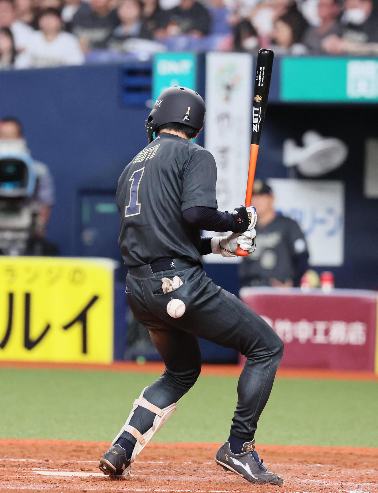オリックス対ソフトバンク　4回裏オリックス2死一塁、太田椋は死球を受けて交代となる（撮影・宮崎幸一）