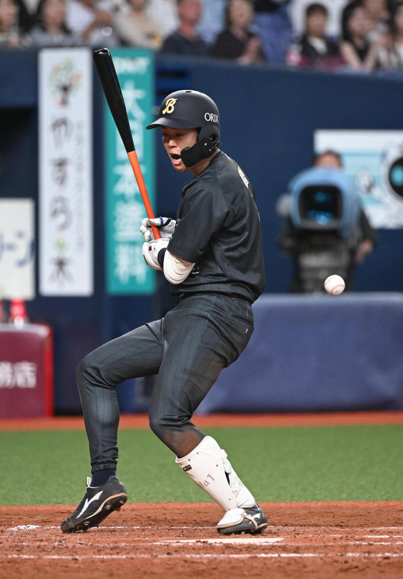 オリックスt対ソフトバンク　4回裏オリックス2死一塁、死球を受ける太田椋（撮影・和賀正仁）＝2026年5月20日
