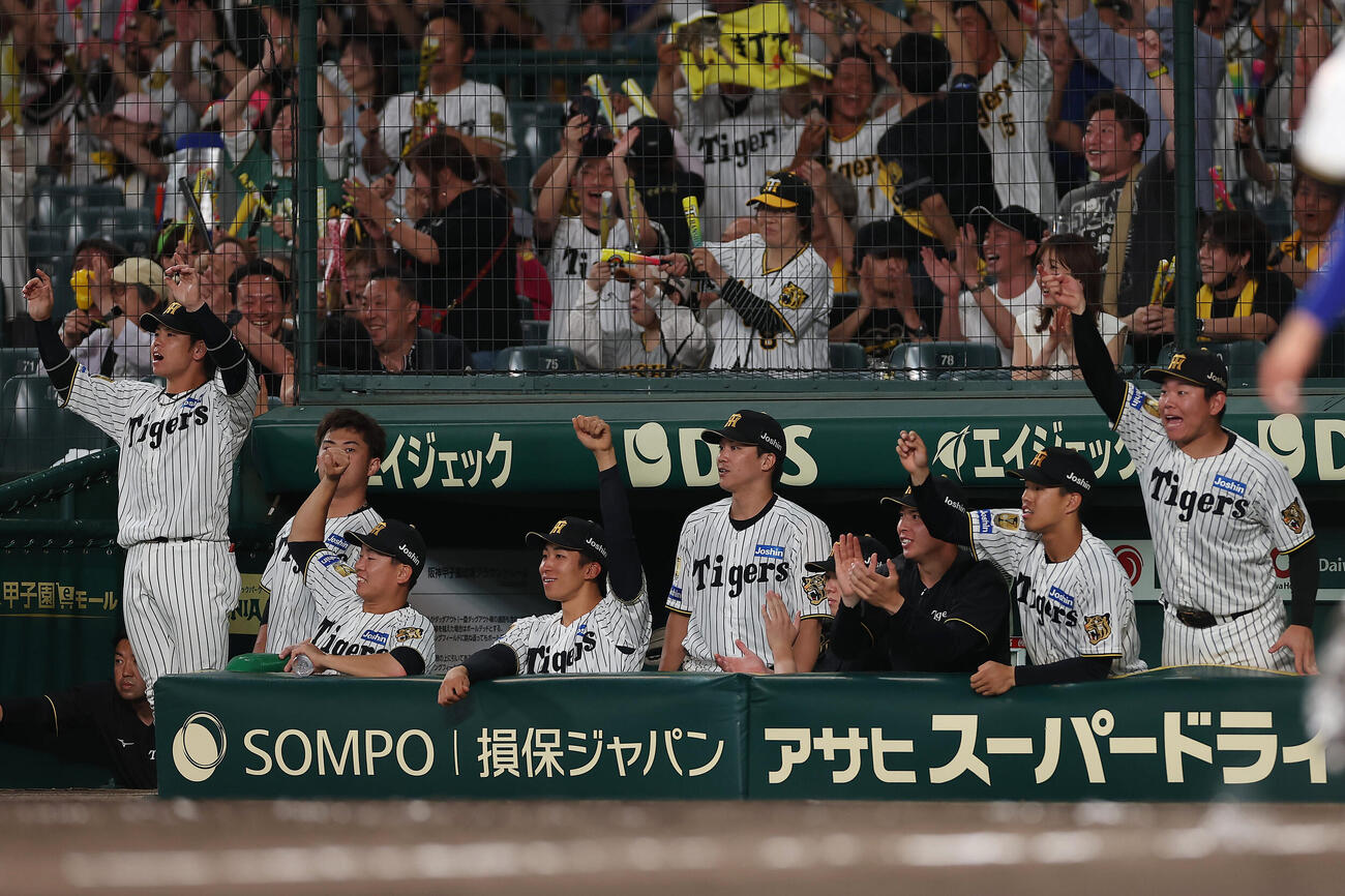 阪神対中日　8回裏阪神2死一、三塁、代打木浪聖也が同点適時打を放ち、ベンチで喜ぶ阪神の選手たち（撮影・前田充）