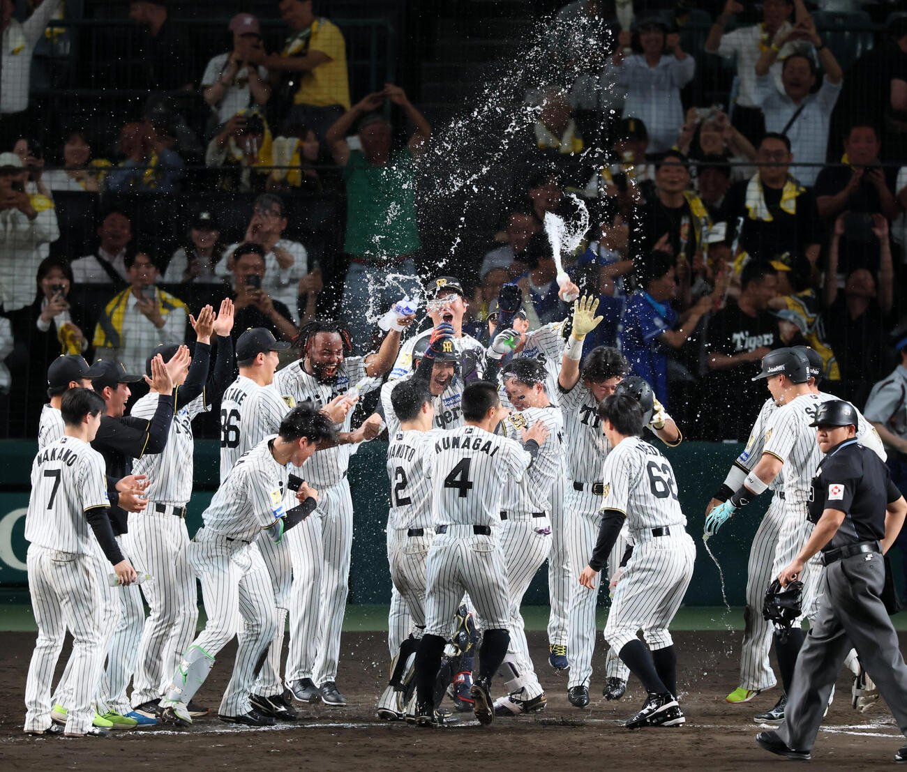 阪神対中日　9回裏阪神無死、森下翔太は左越えサヨナラソロ本塁打を放ち歓喜のナインが待つホームベースに生還（撮影・加藤哉）2026年5月20日