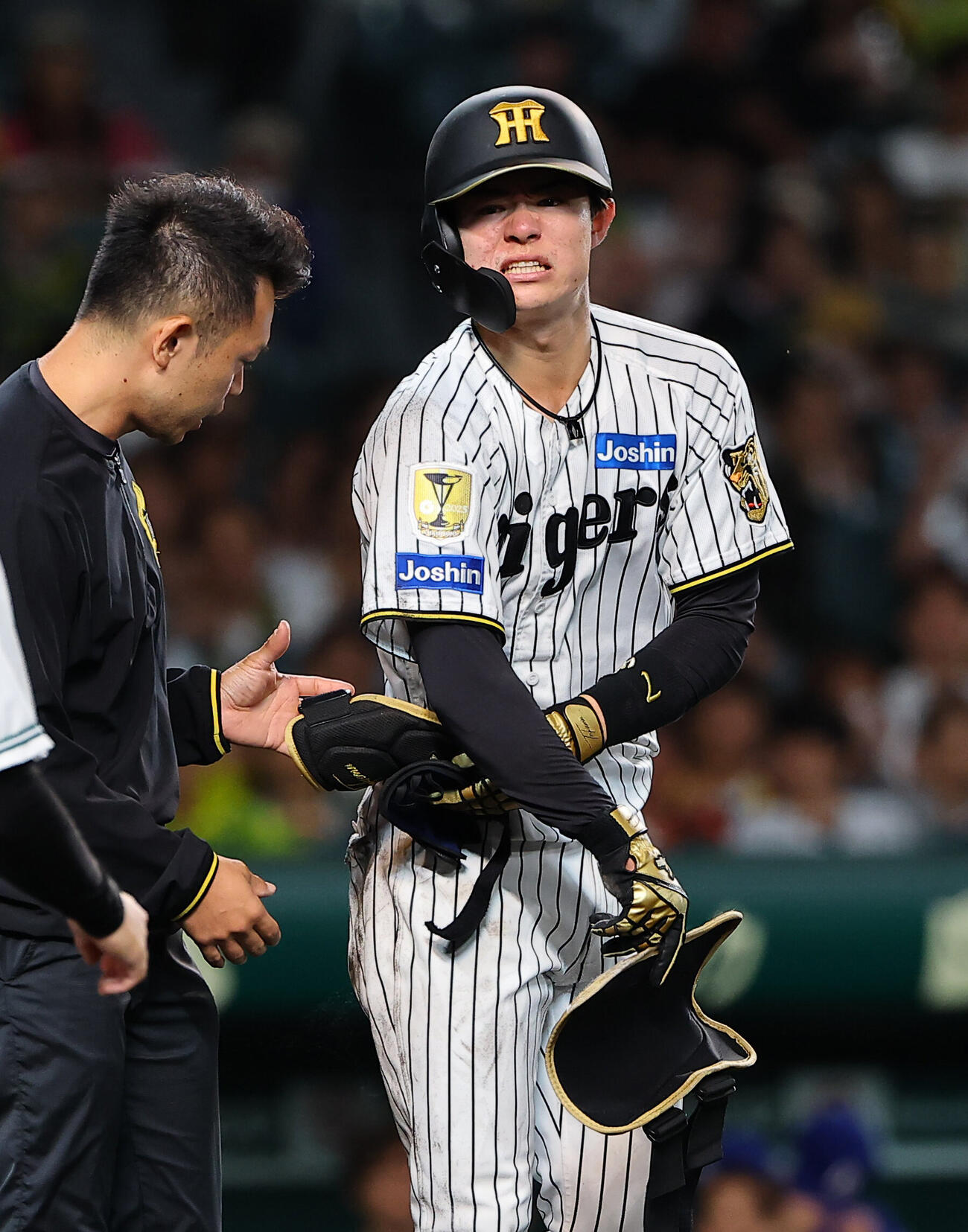 阪神対中日　6回裏阪神2死、中野拓夢は死球を受ける（上田博志）＝2026年5月20日
