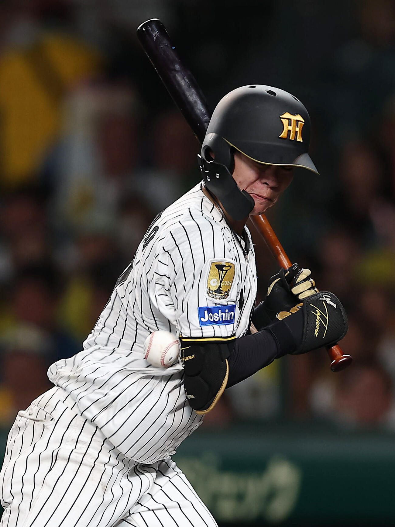 阪神対中日　6回裏阪神2死、死球を受ける中野拓夢（撮影・前田充）＝2026年5月20日