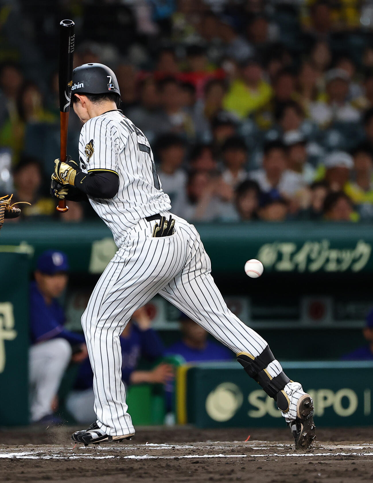 阪神対中日　6回裏阪神2死、中野拓夢は死球を受ける（上田博志）＝2026年5月20日