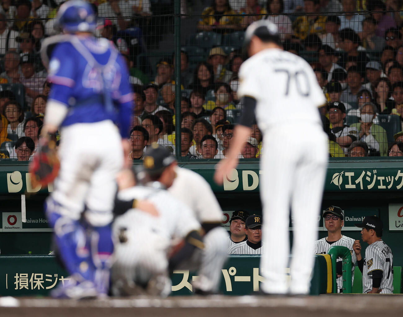 阪神対中日　6回裏阪神2死、死球を受けた中野拓夢（手前下）を心配そうに見つめる藤川球児監督（右から2人目）ら（撮影・前田充）＝2026年5月20日
