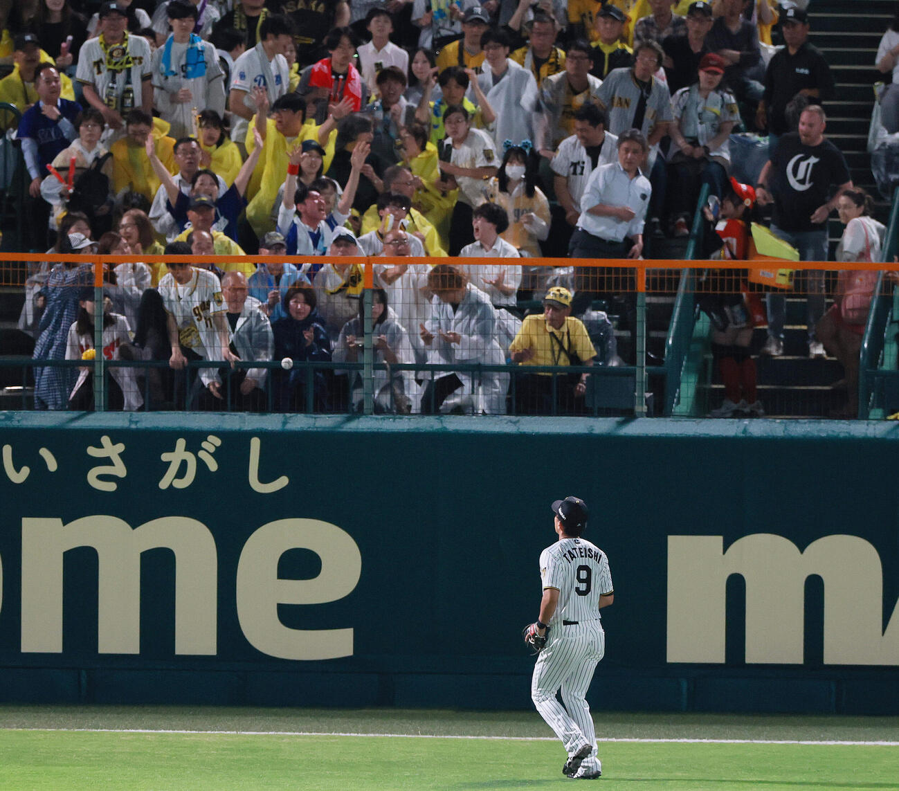 セ・リーグ11回戦　阪神対中日　6回表中日2死一塁、左翼手立石正広はカイル・マラーの2点本塁打を見送る（撮影・上山淳一）