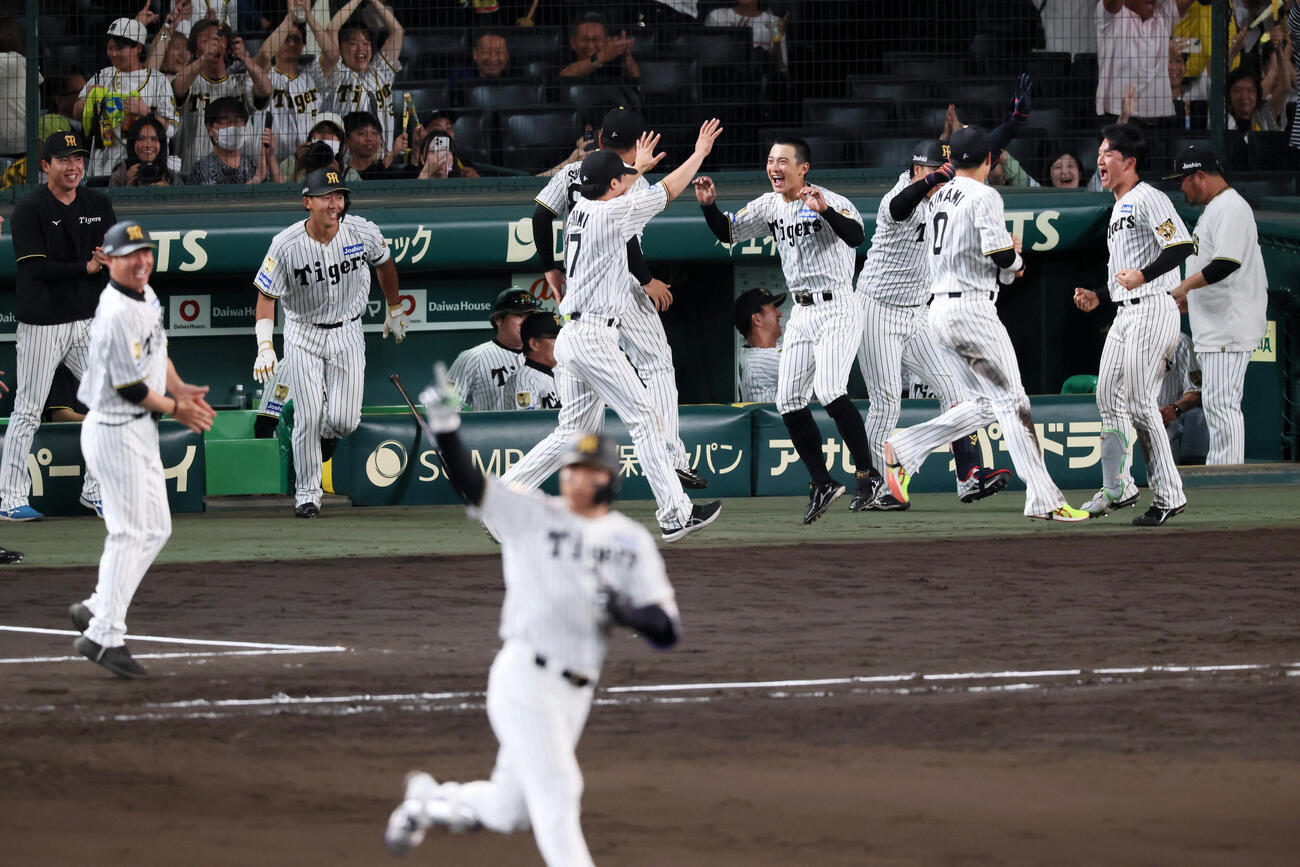 阪神対中日　9回裏阪神無死、森下翔太の左越えサヨナラソロ本塁打にベンチ前で大喜びするナイン（撮影・加藤哉）