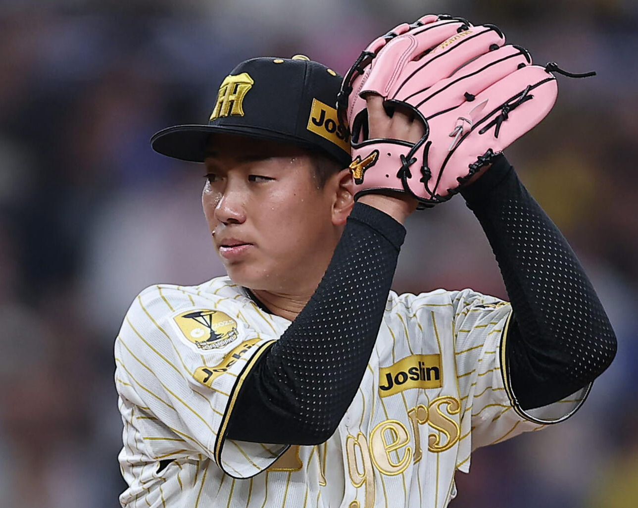 阪神伊原陵人（2026年4月撮影）