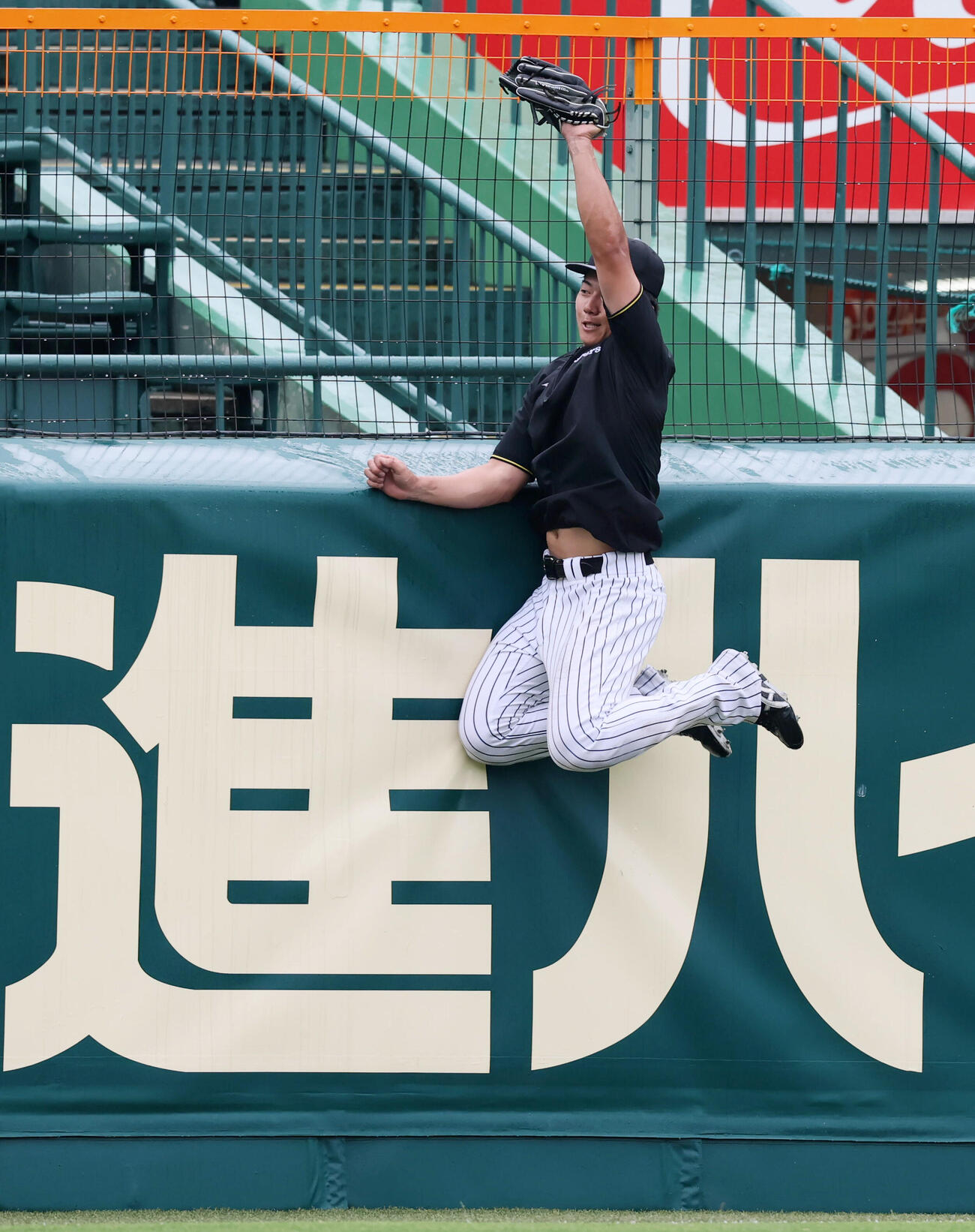 阪神対中日　フェンス際の捕球練習を行う阪神立石正広（撮影・加藤哉）2026年5月21日