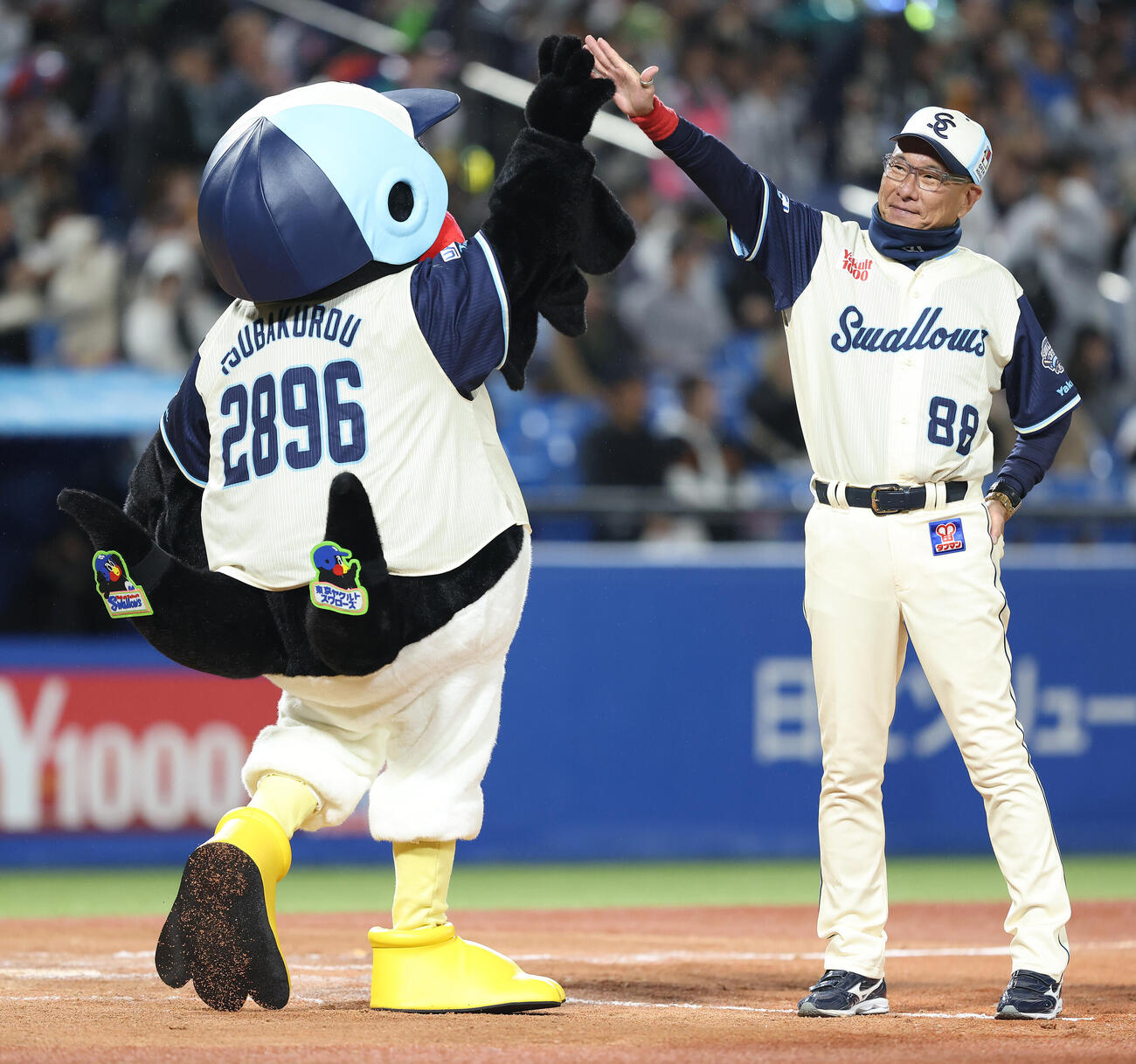 ヤクルト対巨人　巨人に勝利し、つば九郎（左）とハイタッチを交わすヤクルト池山隆寛監督（撮影・河田真司）