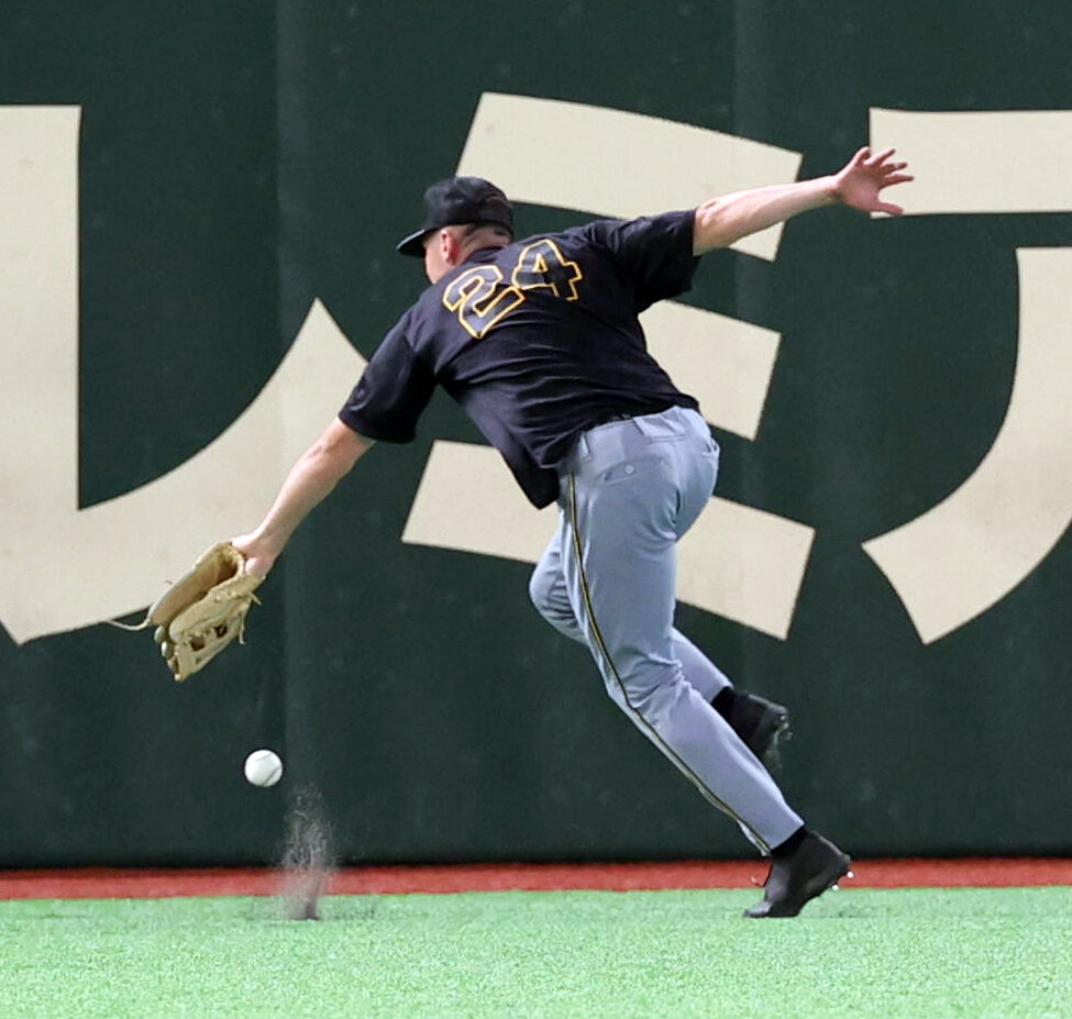 巨人対阪神　フリー打撃中、左翼の守備に入って打球を追う阪神ティム・ディベイニー（撮影・浅見桂子）