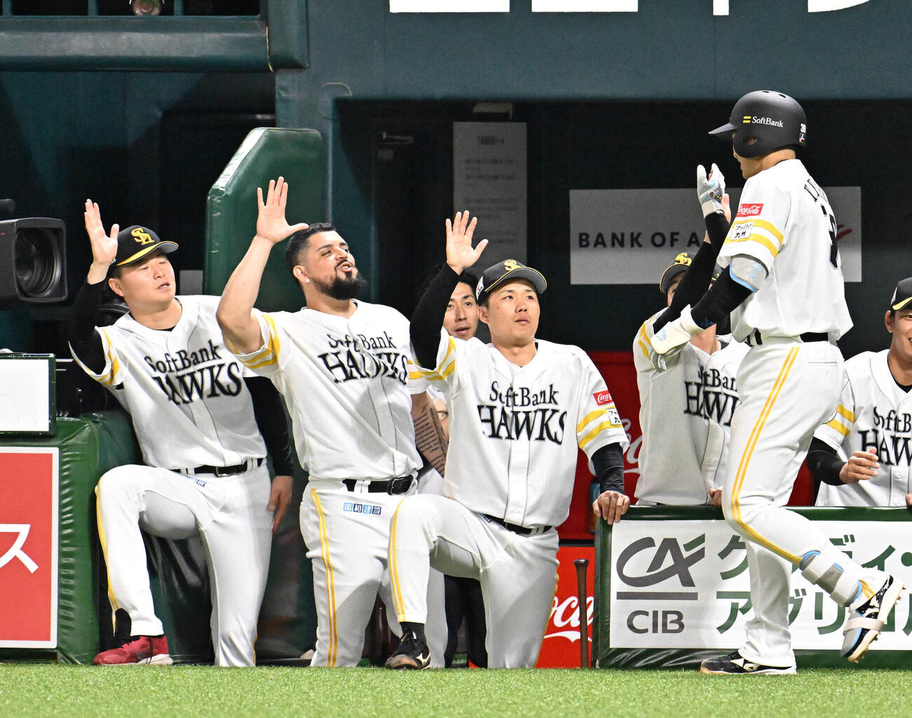 ソフトバンク対日本ハム　7回裏ソフトバンク1死、山本祐大（右）は本塁打を放ちナインとタッチを交わす（撮影・林敢治）＝2026年5月22日
