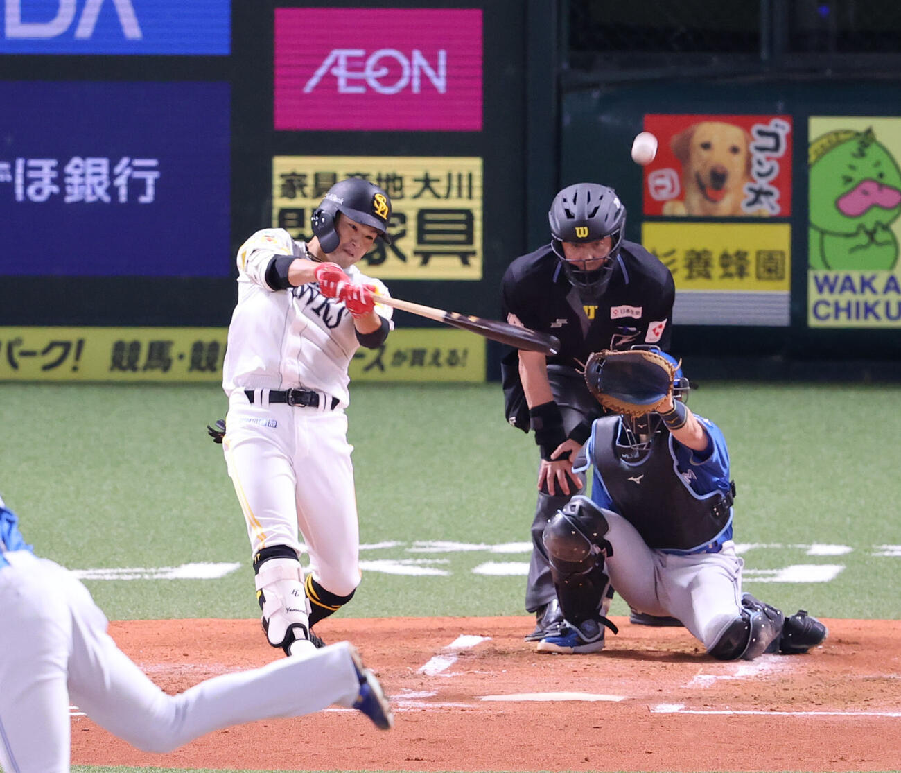 ソフトバンク対日本ハム　2回裏ソフトバンク無死、山本恵大は中越え二塁打を放つ（撮影・梅根麻紀）