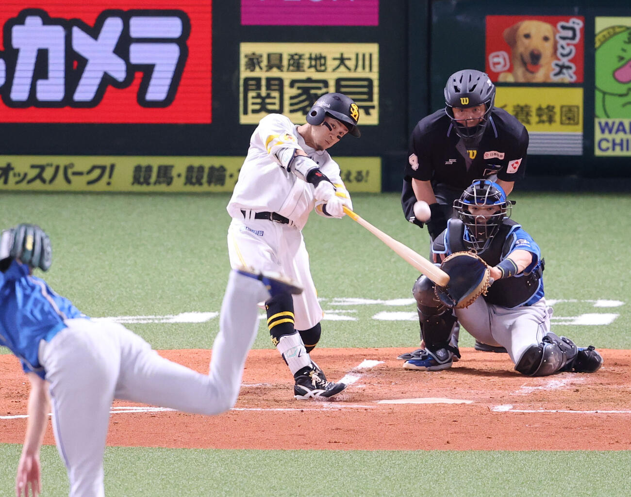 ソフトバンク対日本ハム　2回裏ソフトバンク1死二、三塁、牧原大成は中犠飛を放つ（撮影・梅根麻紀）