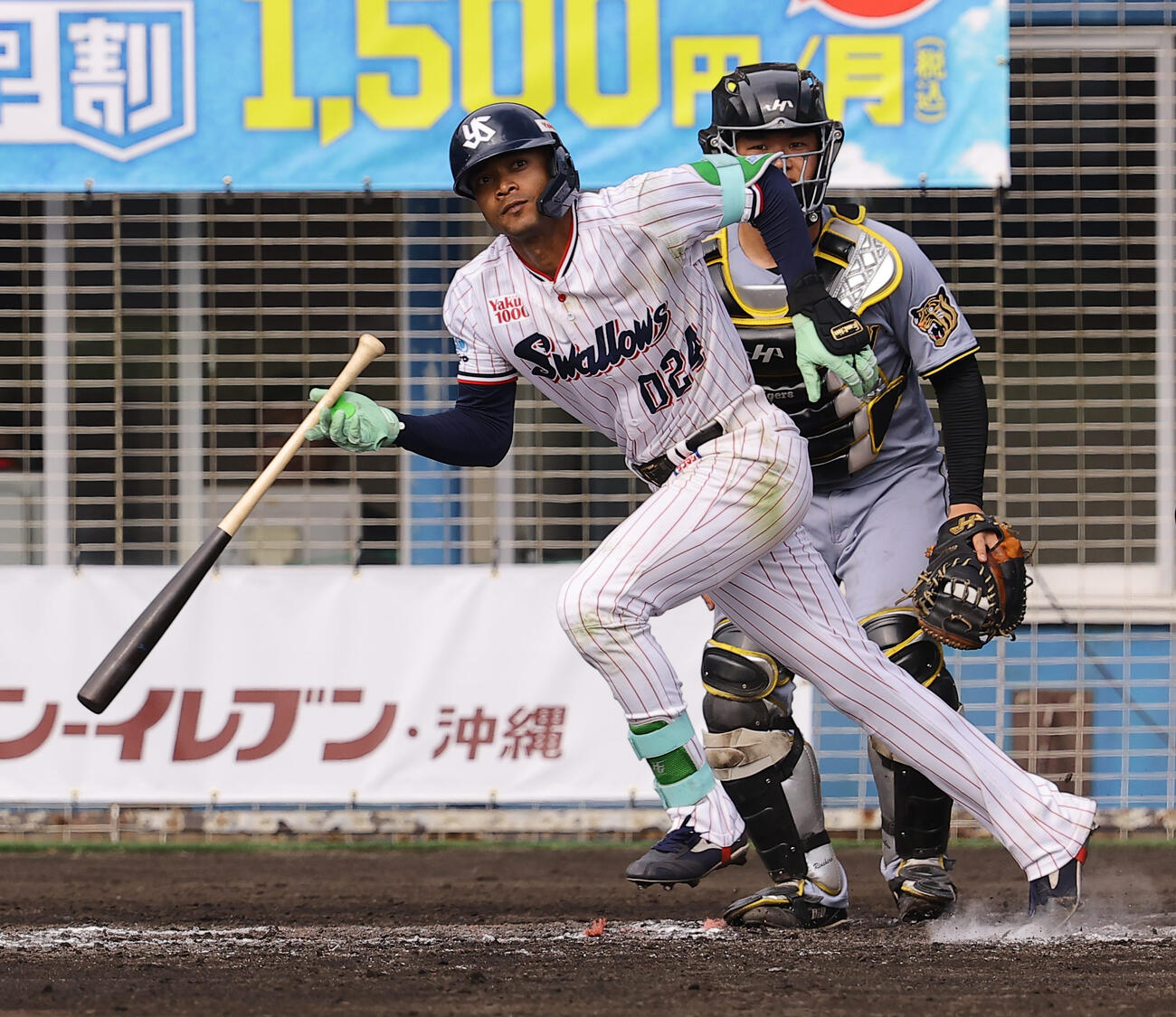 ヤクルト・モンテル（2026年2月撮影）