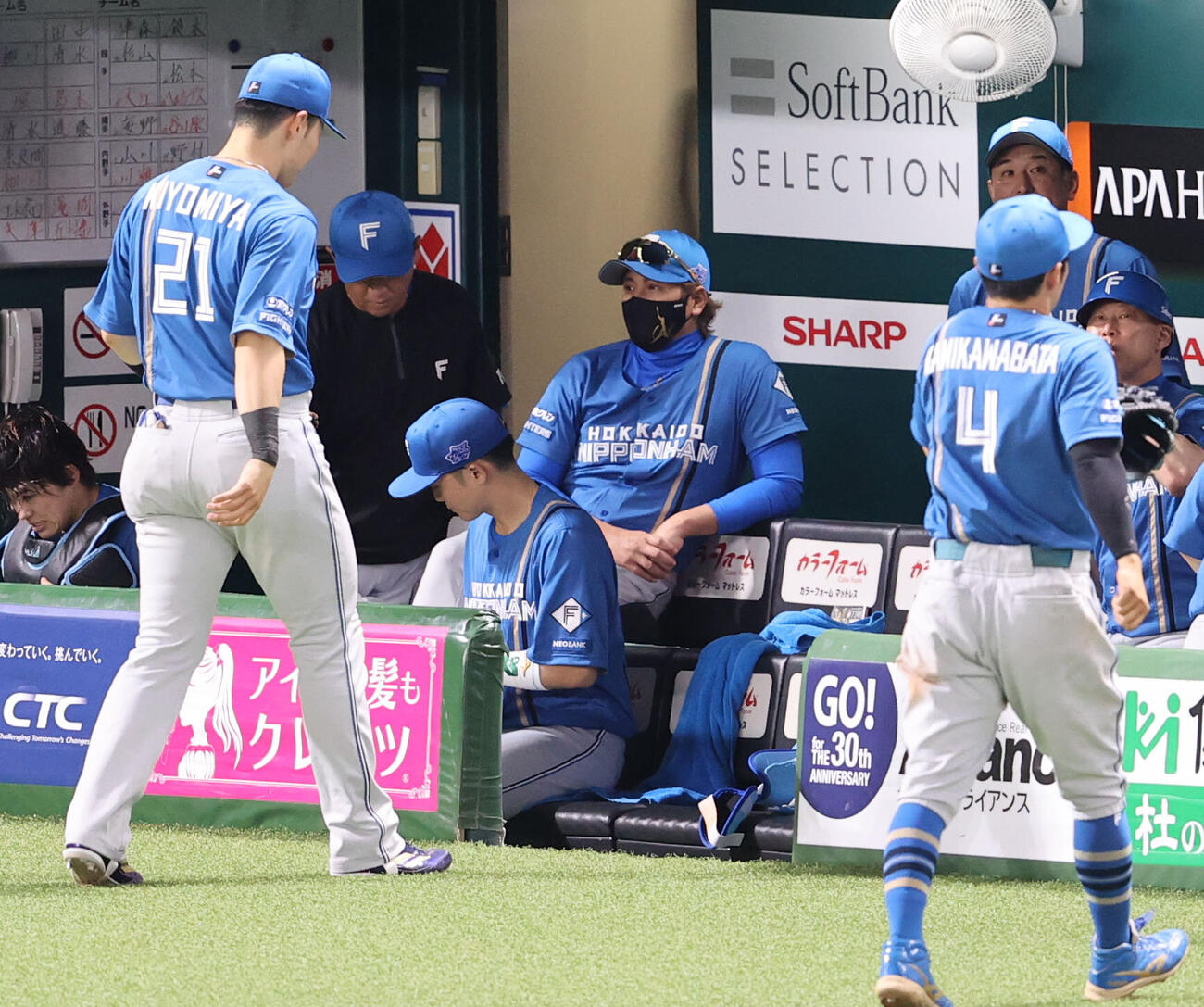 ソフトバンク対日本ハム　ベンチから戦況を見守る日本ハム新庄剛志監督（撮影・梅根麻紀）