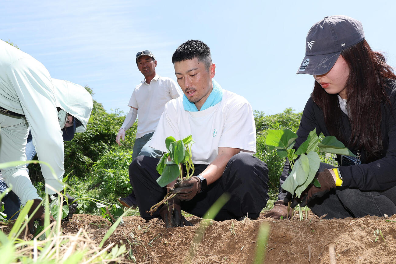 「元オリックス福田周平さんと！新玉ねぎ収穫＆”周平ファーム”お手伝い体験」　農作業でファンと交流する元オリックスの福田周平氏（中央）（撮影・前田充）＝2026年5月24日
