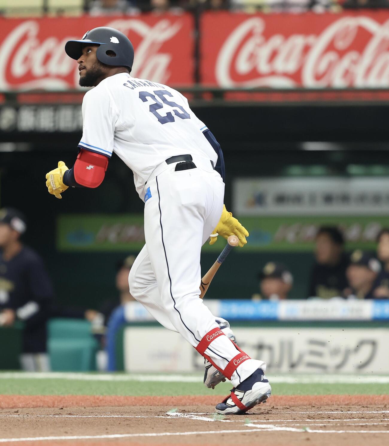 西武対オリックス　1回裏西武無死、同点ソロ本塁打を放つカナリオ（撮影・河田真司）＝2026年5月24日