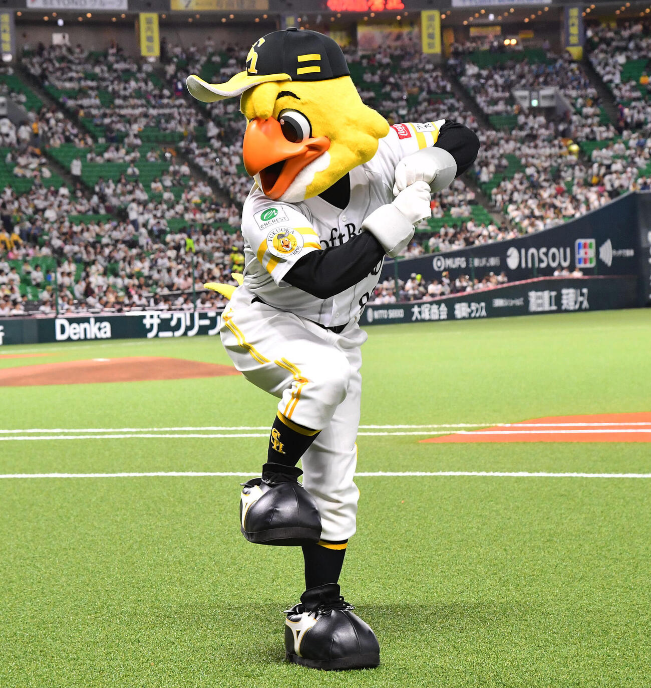 ソフトバンク対日本ハム　一本足打法を見せるハリーホーク（撮影・岩下翔太）