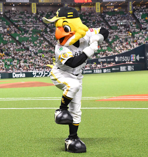 王監督　球団支給品　ミズノプロ　ソフトバンクホークス　Vジャン　王貞治 ソフトバンク】「王貞治レガシーデー」セレモニーで王貞治球団会長