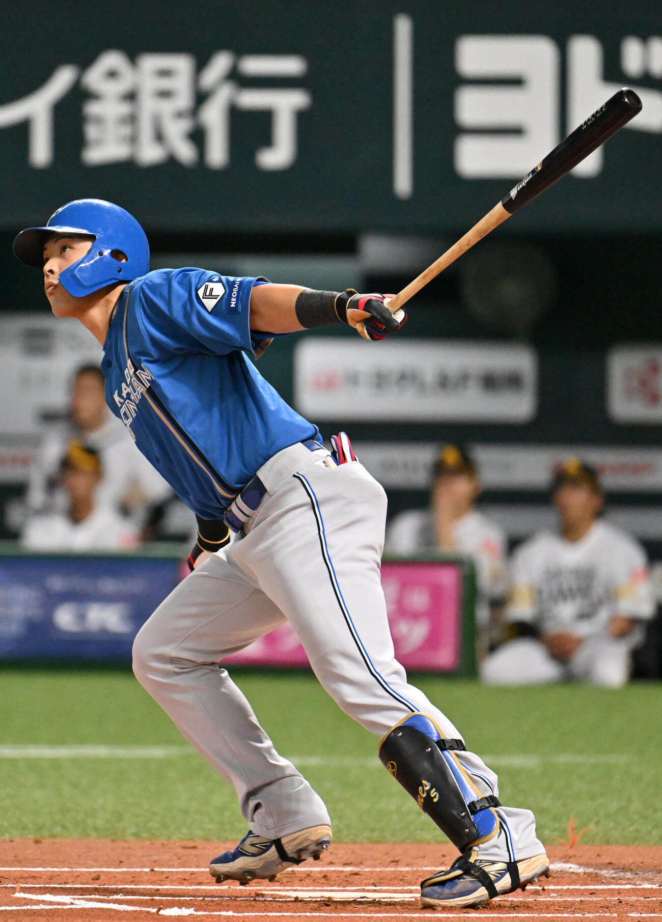 ソフトバンク対日本ハム　1回表日本ハム1死満塁、野村佑希は先制となる満塁本塁打を放つ（撮影・林敢治）