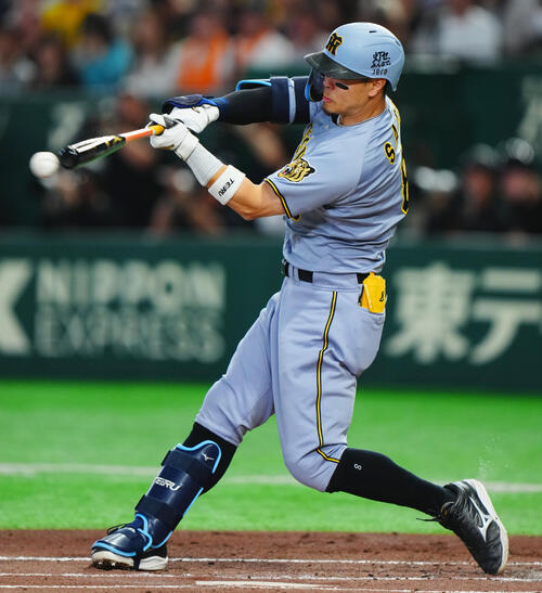 【阪神】右翼でも！佐藤輝明ファインプレー　フェンス際ジャンピングキャッチで「テル！」コール