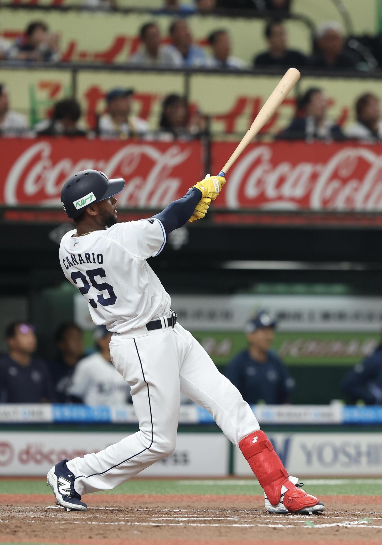 西武対オリックス　6回裏西武2死一塁、2点本塁打を放つカナリオ（撮影・河田真司）＝2026年5月24日