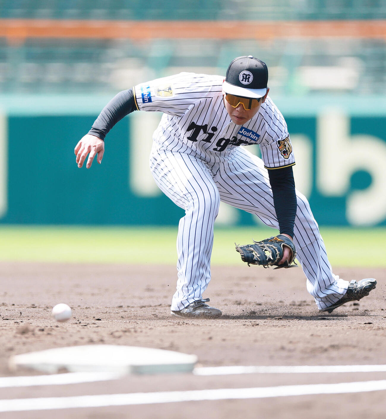 一塁でノックを受ける阪神嶋村麟士朗（撮影・上山淳一）