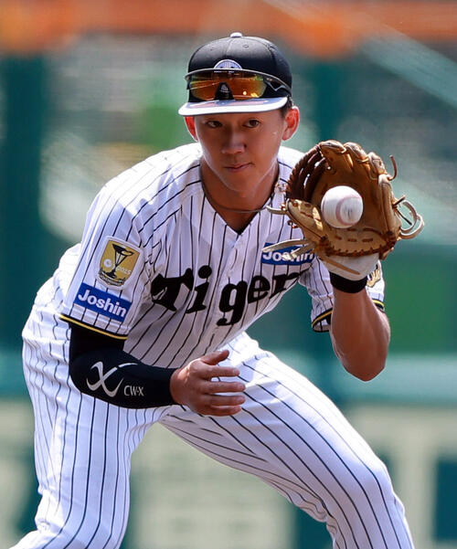 紫*士様 阪神　立石正広 阪神】立石正広ら若手5選手が指名練習に参加 甲子園で入念に守備練習