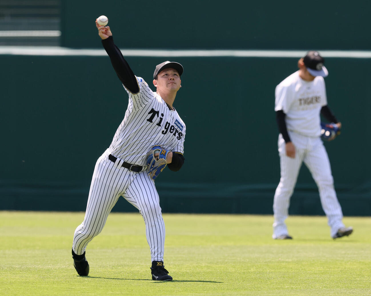 練習でキャッチボールする阪神木下里都（撮影・加藤哉）