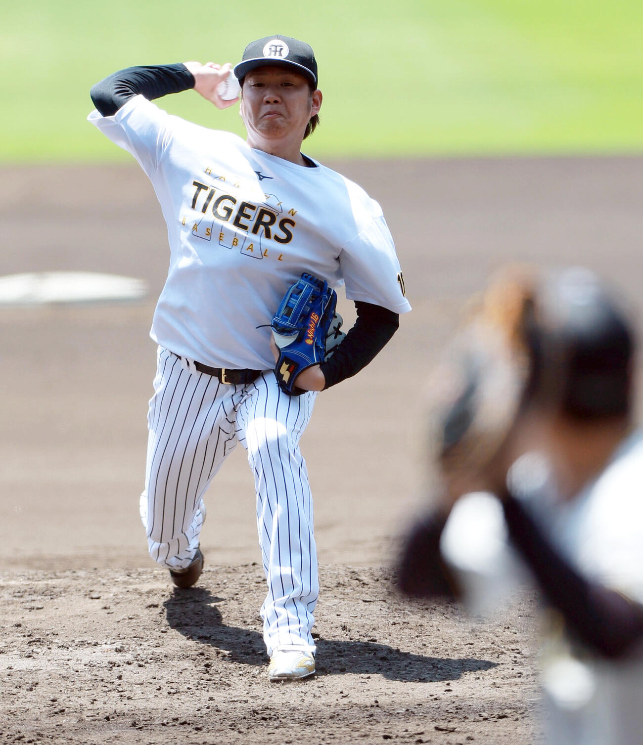 甲子園球場のマウンドで投球練習する阪神西勇輝（撮影・上山淳一）
