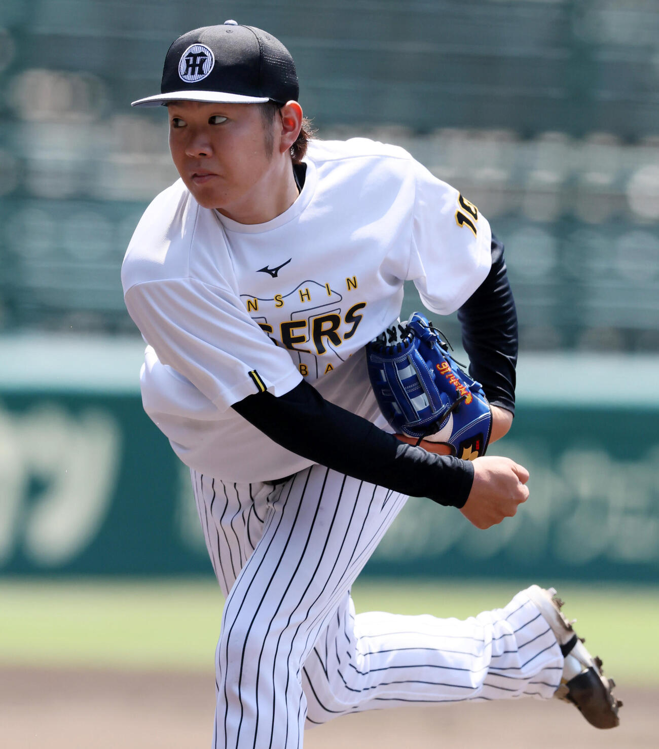 マウンドで投球練習する阪神西勇輝（撮影・加藤哉）