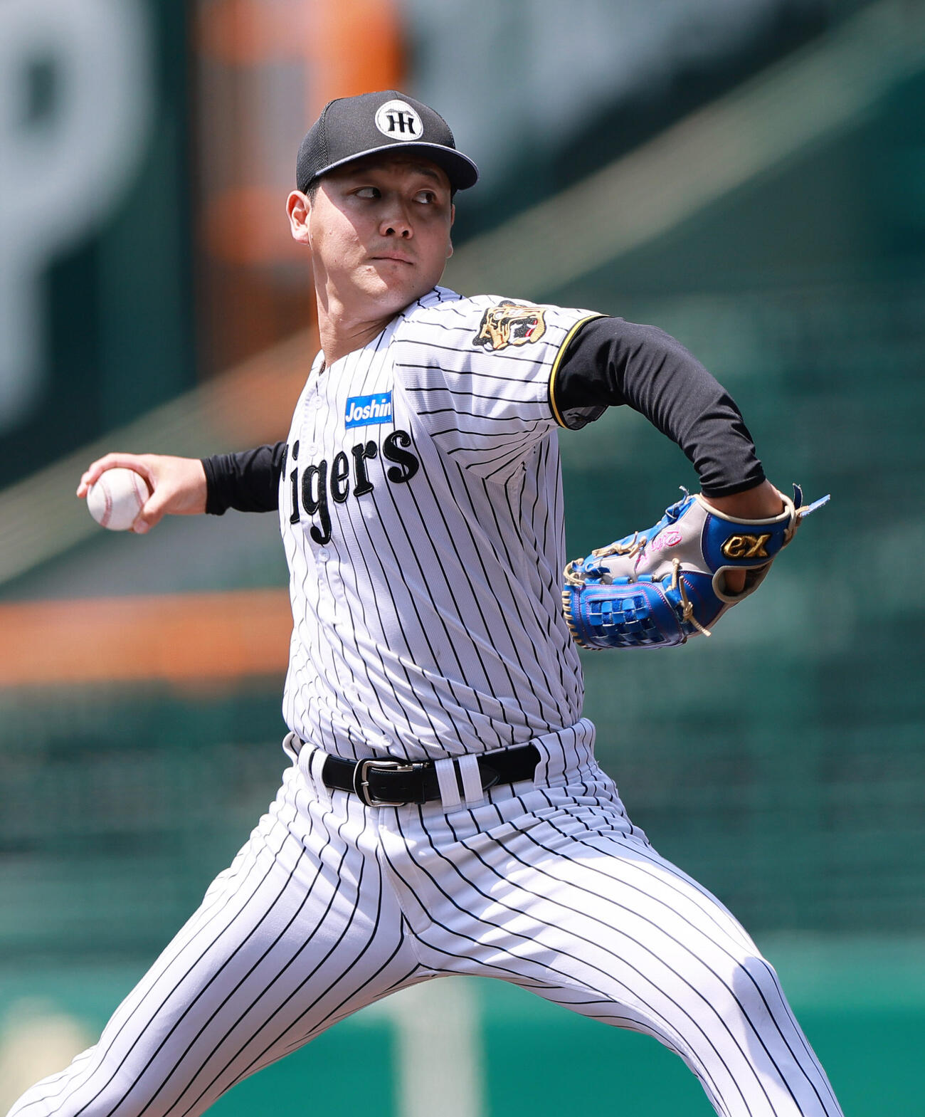 甲子園球場のマウンドで投球する阪神木下里都（撮影・上山淳一）