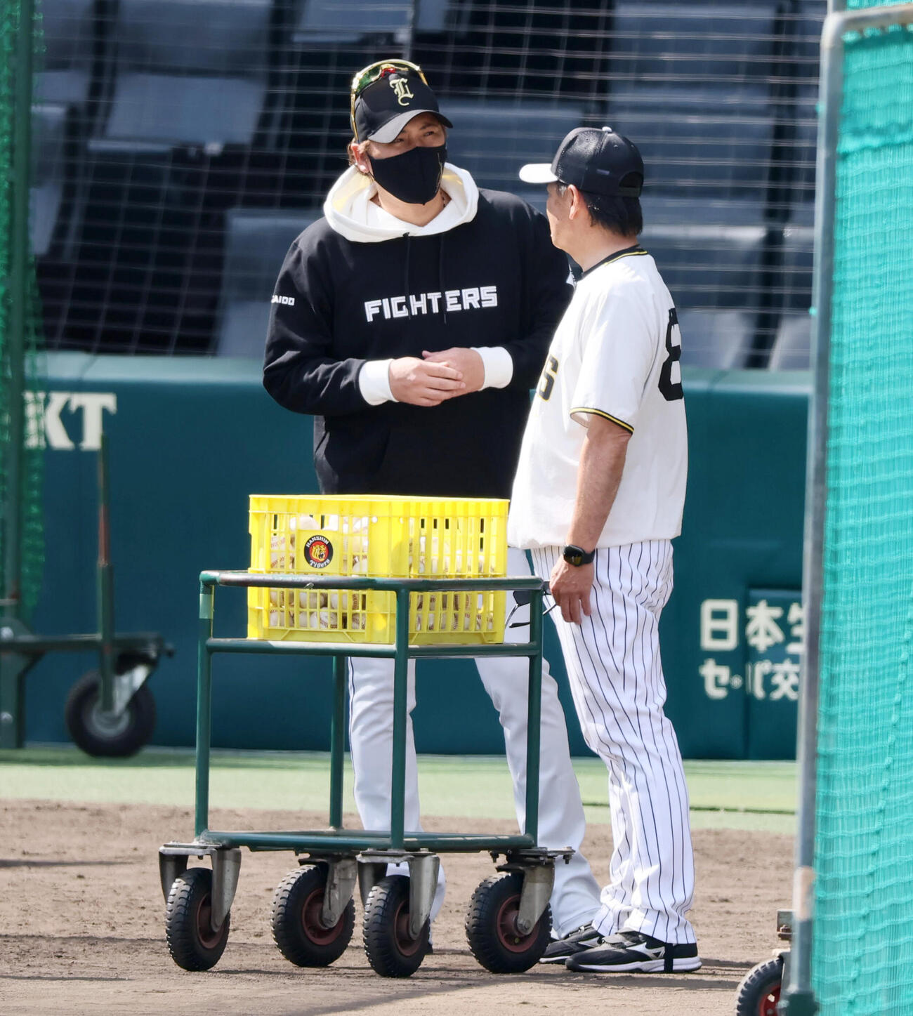 阪神対日本ハム　阪神和田豊ヘッドコーチ（右）と話す日本ハム新庄剛志監督（撮影・加藤哉）