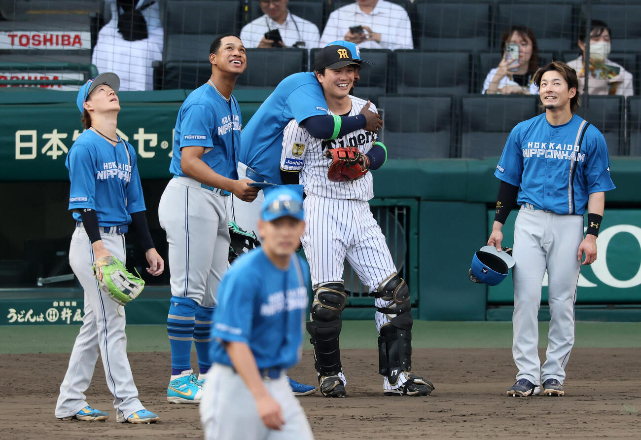 阪神対日本ハム　シートノックを見学していた阪神伏見寅威に抱きつく日本ハムフランミル・レイエス。左は万波中正（撮影・加藤哉）2026年5月26日