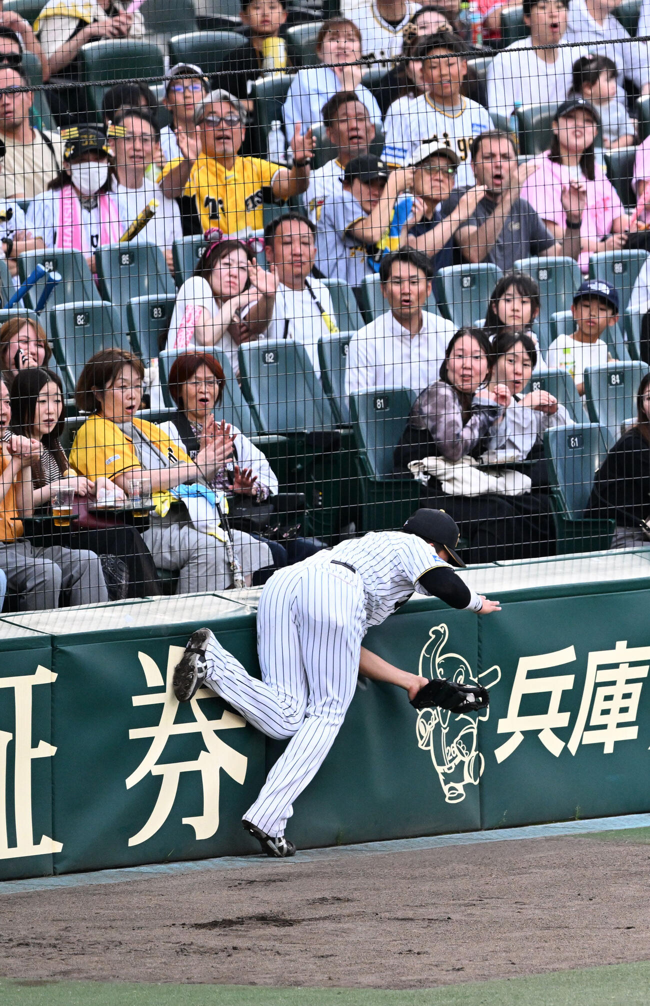 阪神対日本ハム　2回表日本ハム2死一、二塁、細川の邪飛を好捕する三塁手立石正広（撮影・和賀正仁）