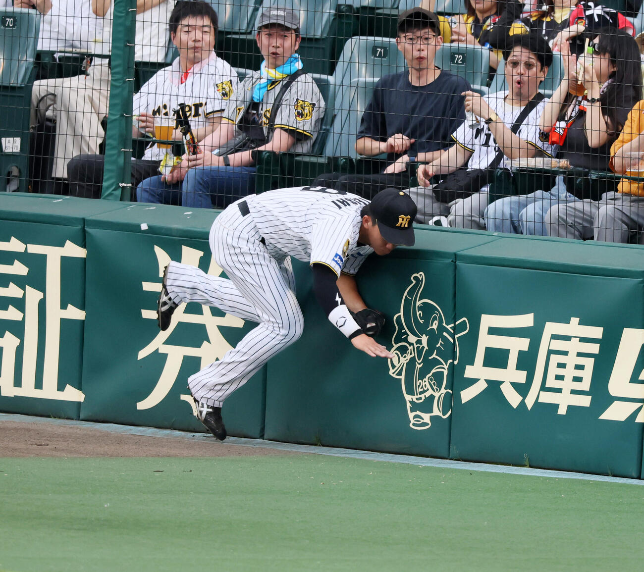 阪神対日本ハム　2回表日本ハム2死一、二塁、立石正広は細川凌平の邪飛をフェンス際で好捕する（撮影・加藤哉）