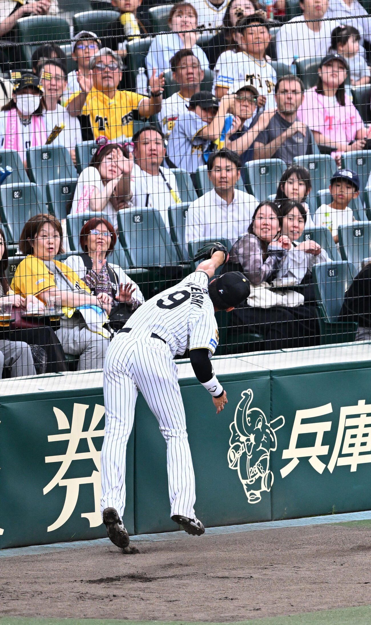 阪神対日本ハム　2回表日本ハム2死一、二塁、細川の邪飛を好捕する三塁手立石正広（撮影・和賀正仁）