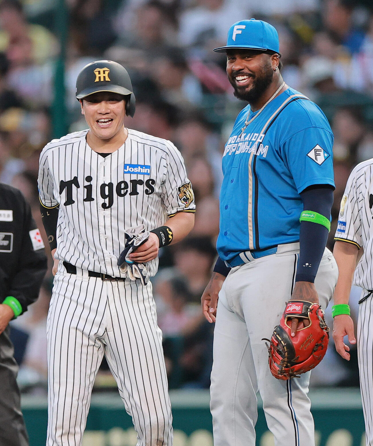 セ・パ交流戦　阪神対日本ハム1回戦　阪神対日本ハム　3回裏阪神1死、安打を放った伏見寅威（左）は一塁手フランミル・レイエスと笑顔を見せる（撮影・上山淳一）＝2026年5月26日