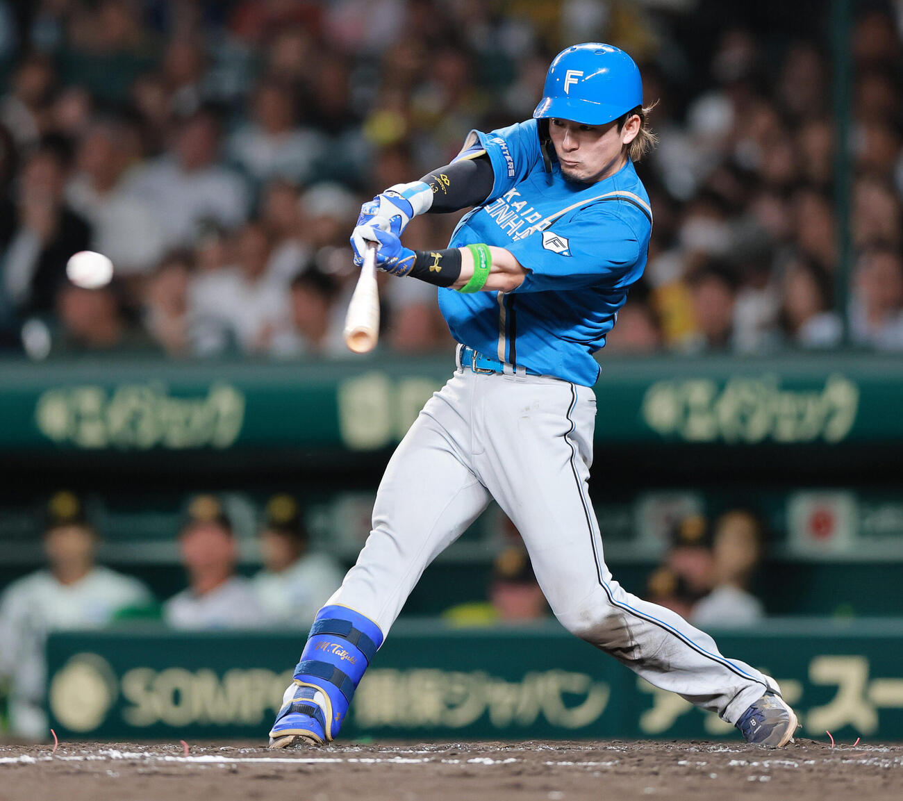 セ・パ交流戦　阪神対日本ハム1回戦　阪神対日本ハム　5回表日本ハム2死二塁、水野達稀は左前打を放つ（撮影・上山淳一）＝2026年5月26日