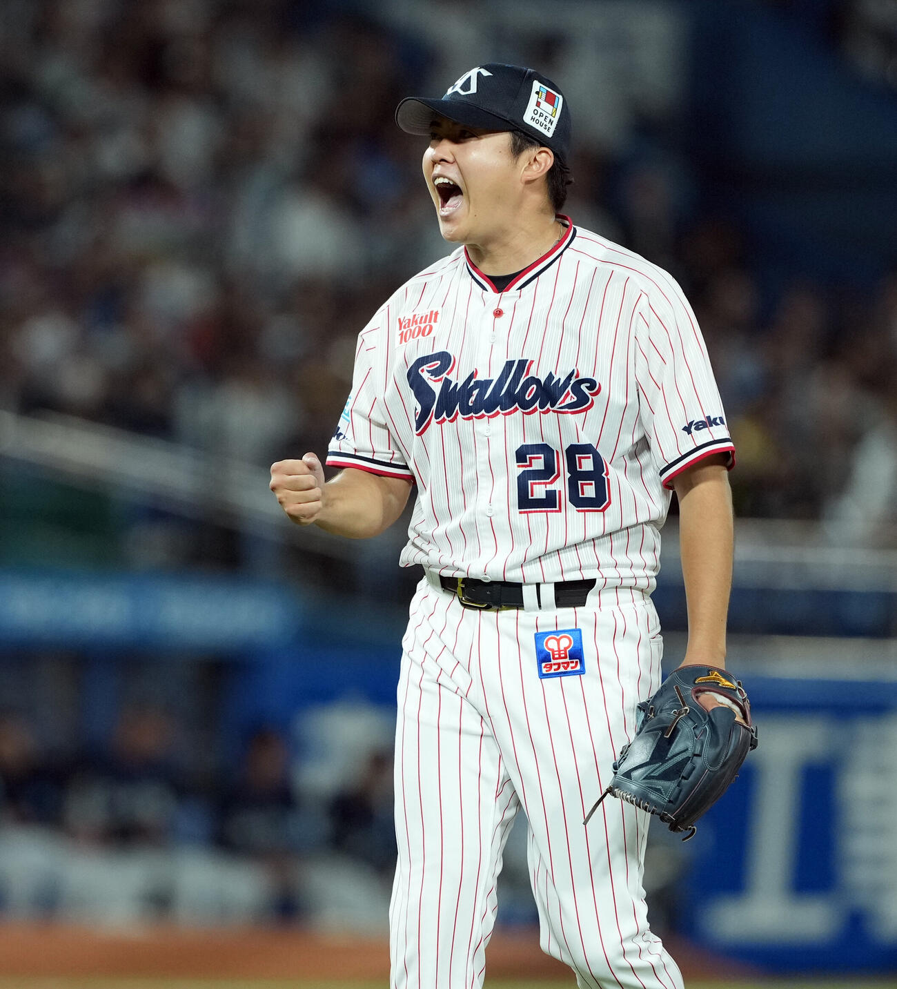 ヤクルト対西武　6回表、ピンチ脱しほえるヤクルトの先発松本健吾（撮影・たえ見朱実）＝2026年5月26日
